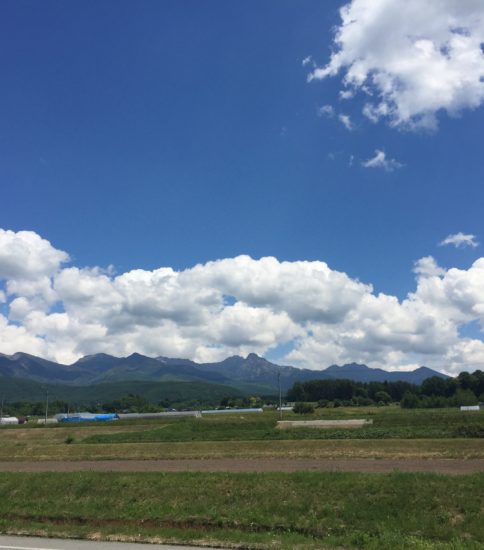 蓼科花ファクトリーLive